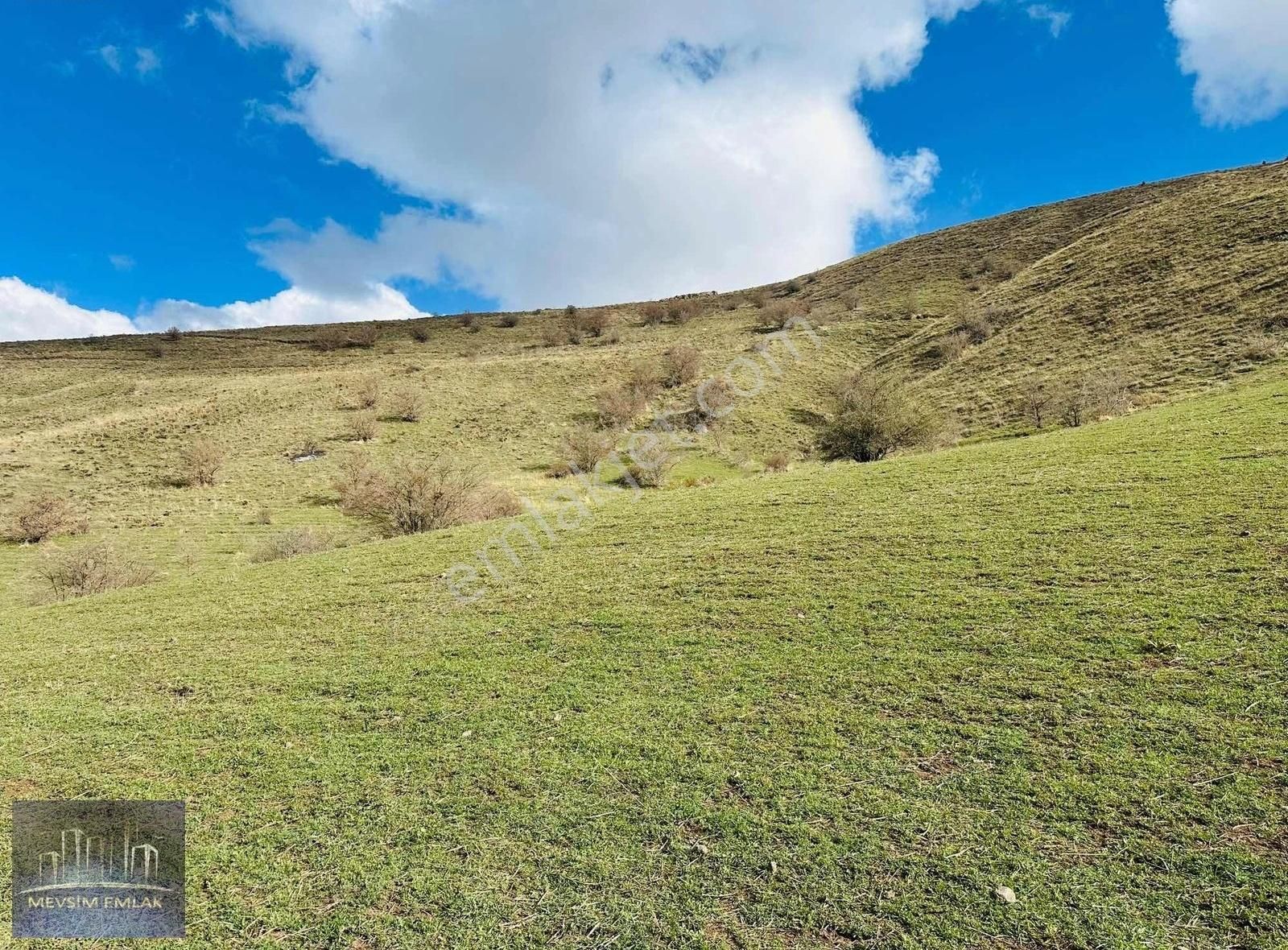 Akdamar Adası Karşısı 15.307 M2 Satılık Göl Manzaralı Tarla