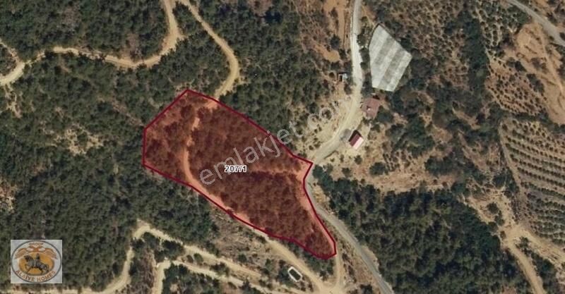 Gazipaşada Satılık 8.992 M2 Tarla Group Alaiye Homes'ten