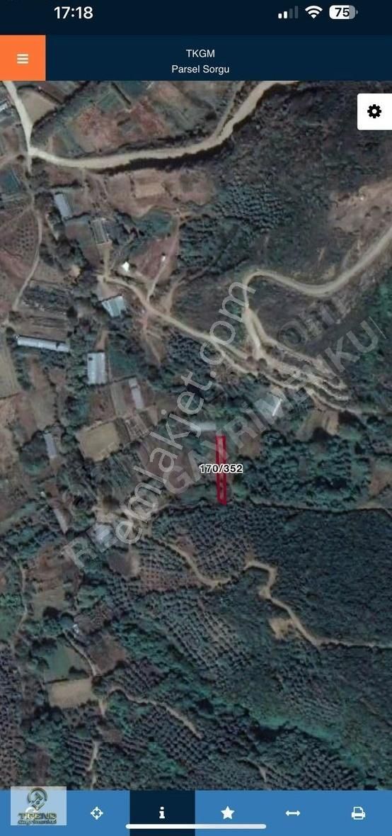 Sahil Yenice'de Deniz Manzaralı 490 M2 Kelepir Satılık Arazi - Görsel 18