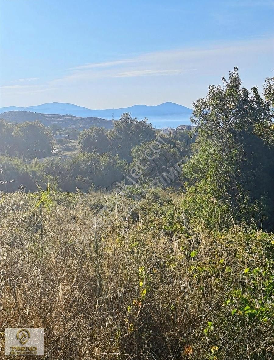 Sahil Yenice'de Deniz Manzaralı 490 M2 Kelepir Satılık Arazi - Görsel 14