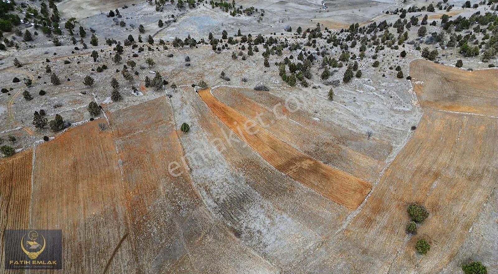 Çameli Cumaalanı'nda Satılık 2 Tapu Toplam 8 Dönüm Arsa