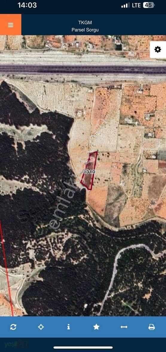 Yeşilloft'dan Orman Eteğinde Satılık Arsa