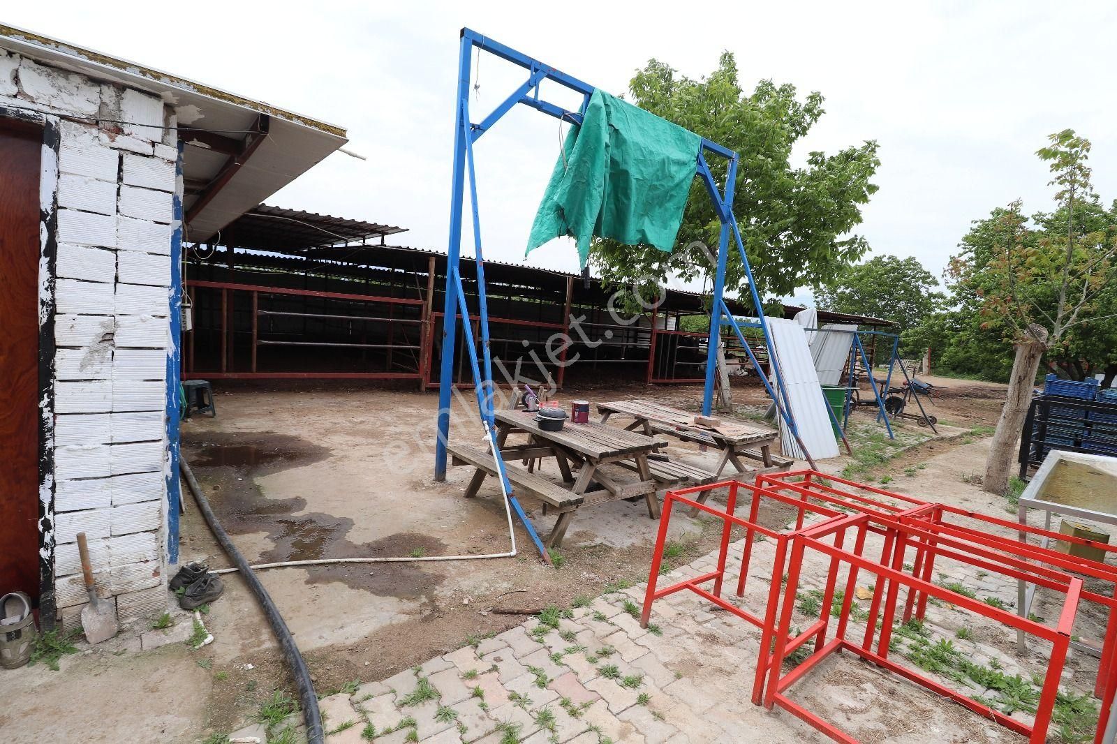 Armutlu Hürriyet Mahallesinde İçinde Besi Damı Olan 3511 M2 Bahçe - Görsel 26
