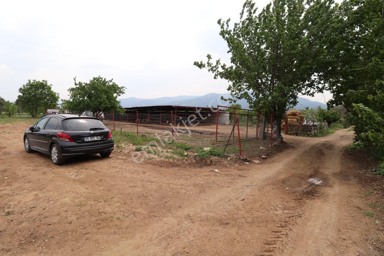 Armutlu Hürriyet Mahallesinde İçinde Besi Damı Olan 3511 M2 Bahçe - Görsel 23