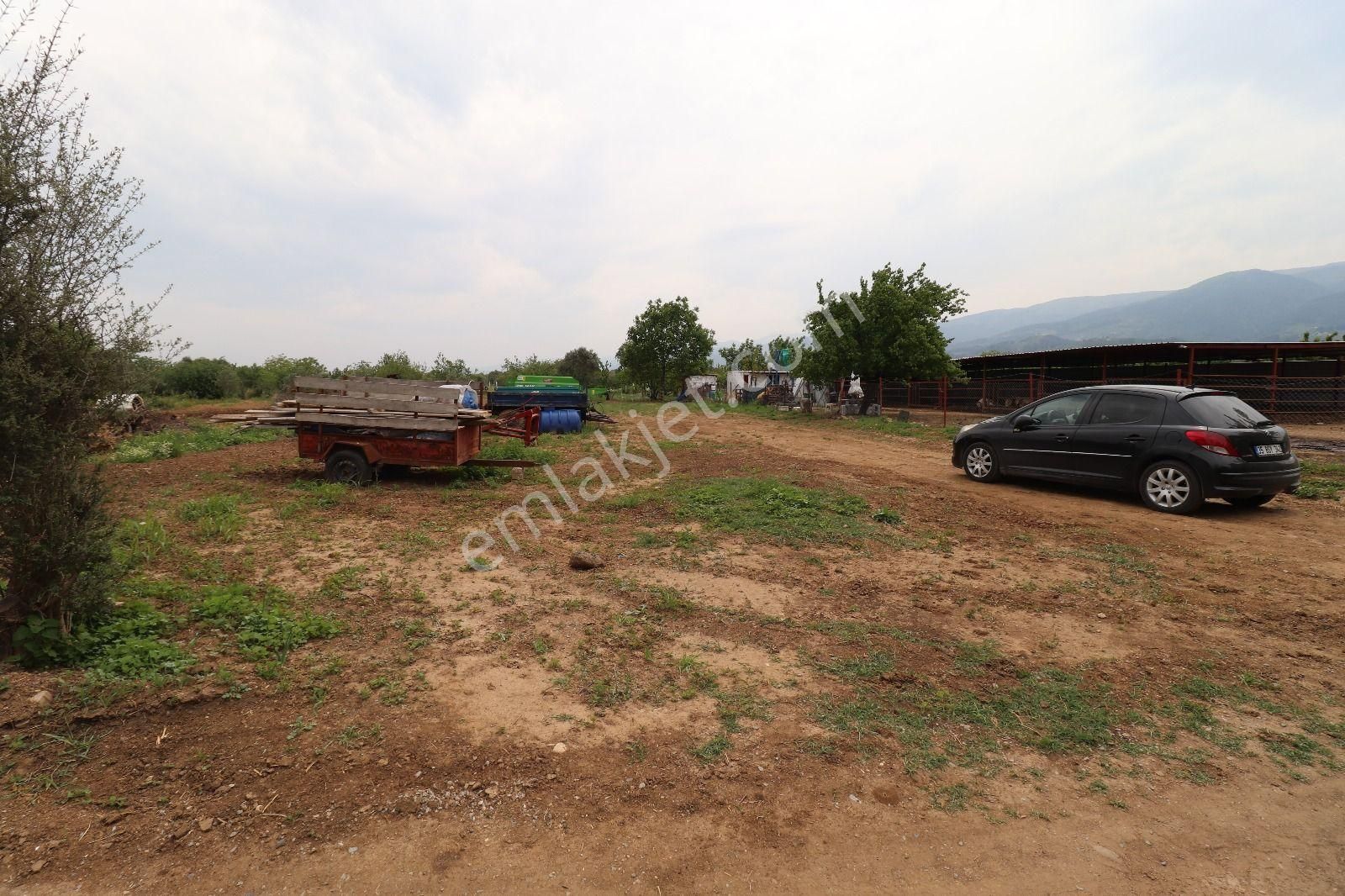 Armutlu Hürriyet Mahallesinde İçinde Besi Damı Olan 3511 M2 Bahçe - Görsel 29