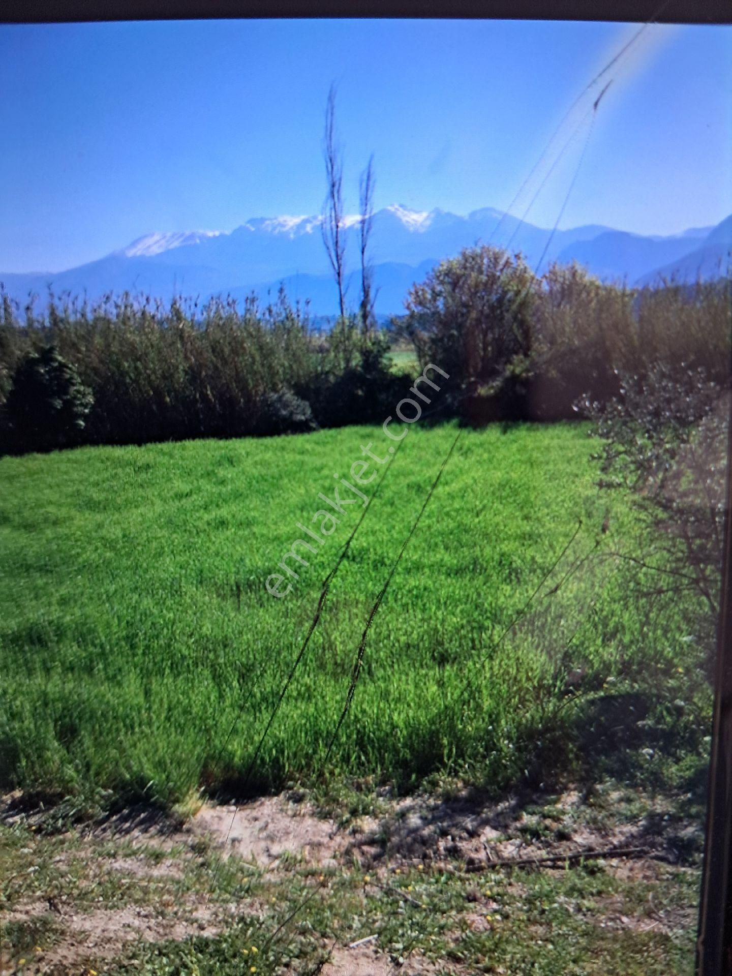 Seydikemer Demirlerde Tek Tapu 6.334 M2 Satılık Tarla - Görsel 5