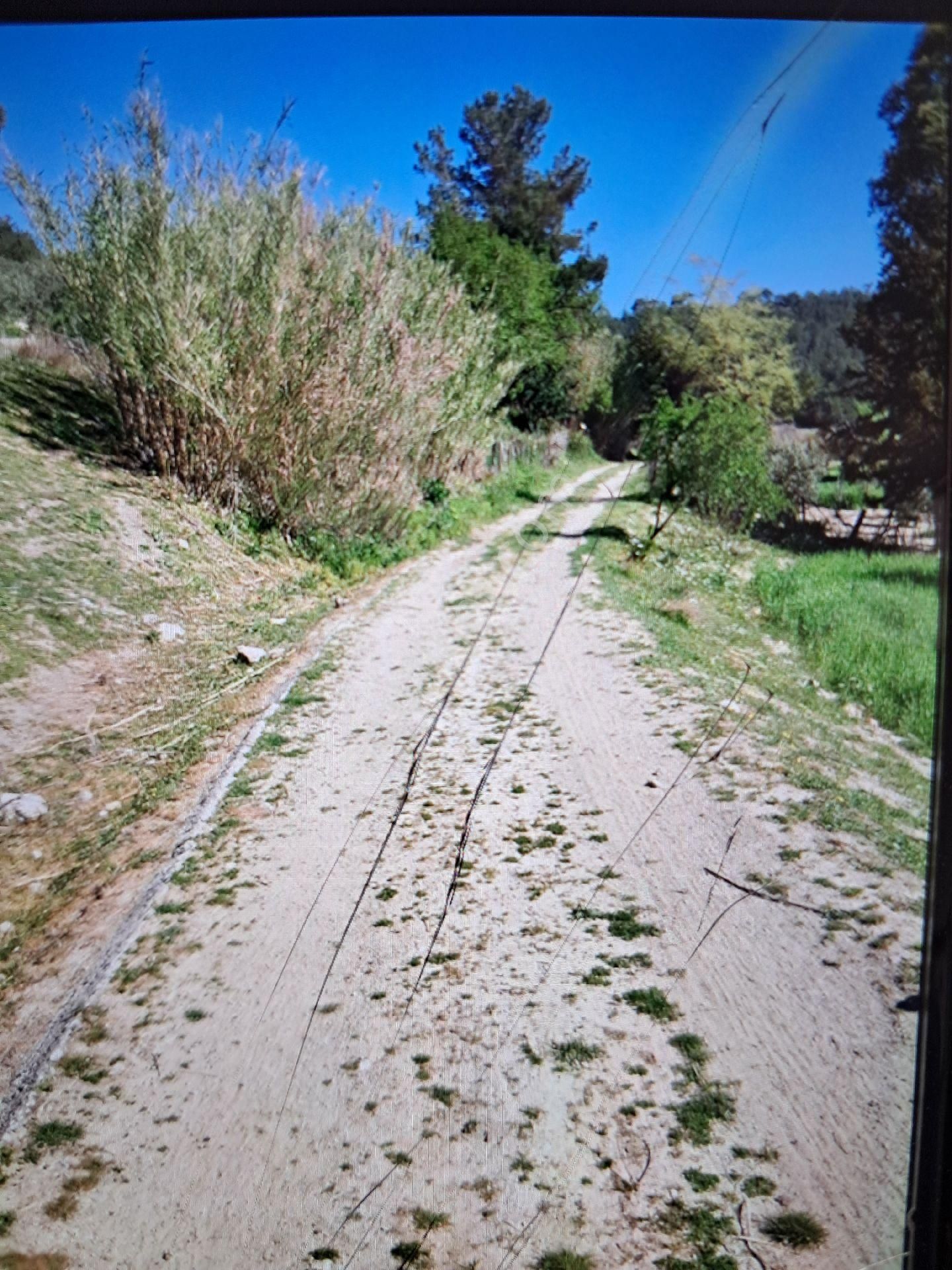 Seydikemer Demirlerde Tek Tapu 6.334 M2 Satılık Tarla - Görsel 4
