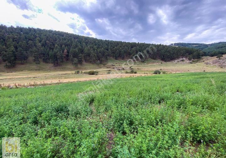 Bursa Osmangazi Cukurca Satilik Arsa 1340 M2 (10) +