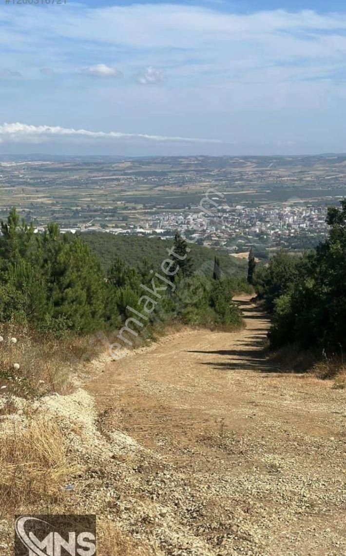Bursa Nilifer Akcalar 2400 M (1) +