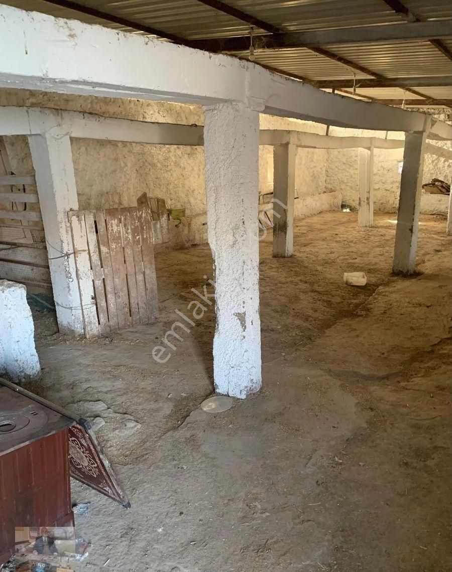 İşletme Ruhsatlı Ahır-imarlı Arsası Doğalgazlı Evi Satılık - Görsel 31