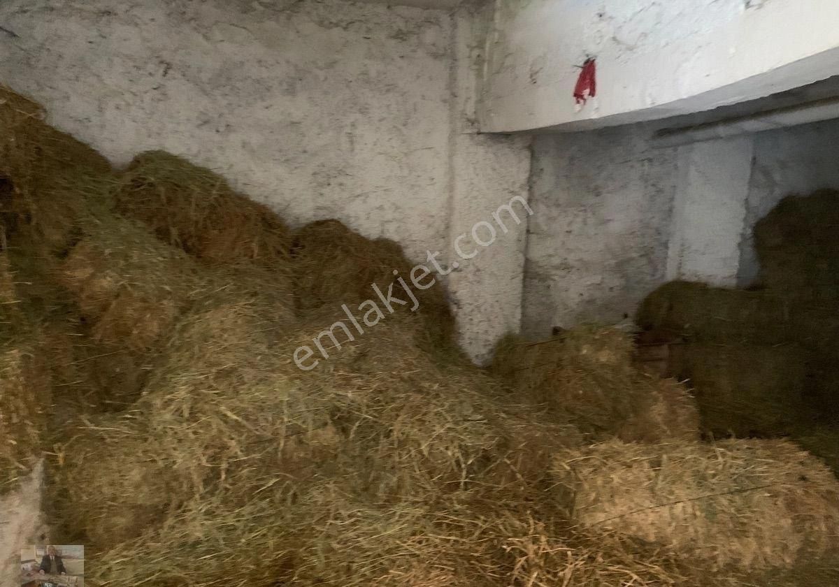 İşletme Ruhsatlı Ahır-imarlı Arsası Doğalgazlı Evi Satılık - Görsel 21