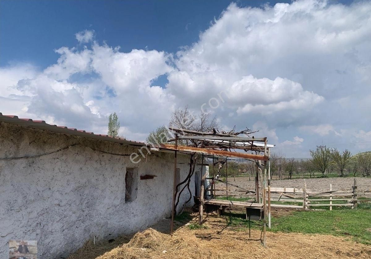 İşletme Ruhsatlı Ahır-imarlı Arsası Doğalgazlı Evi Satılık - Görsel 11