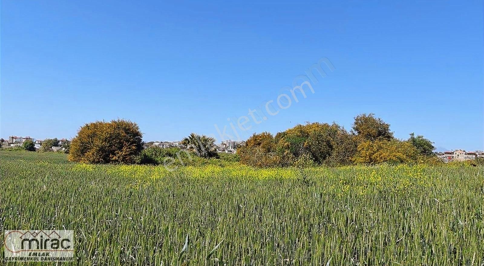 Ilıca Mah.köşe Başı Deniz Tarafı Satılık Arsa