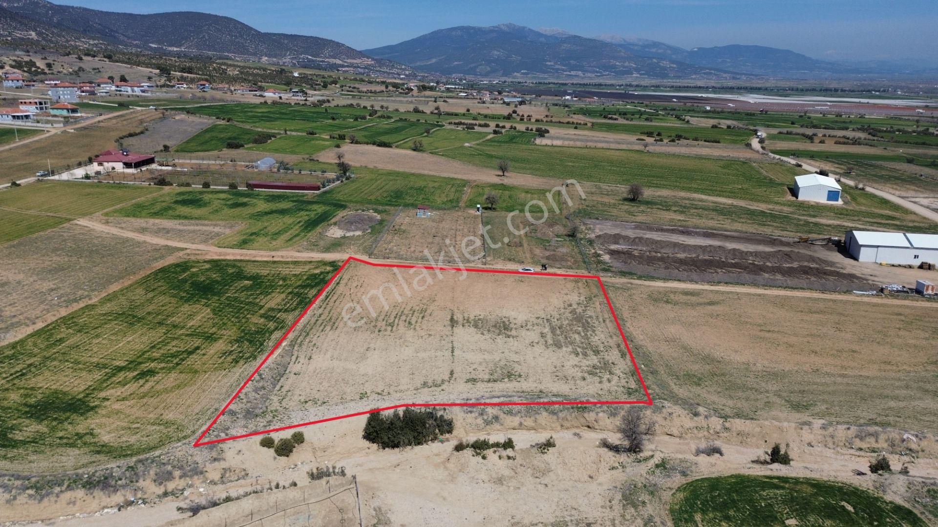 Korkuteli Yeşilyaylada Satılık 4266 M2 Problemi Olmayan Tarla - Görsel 7