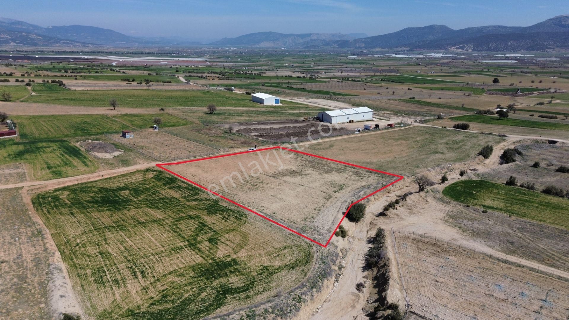 Korkuteli Yeşilyaylada Satılık 4266 M2 Problemi Olmayan Tarla - Görsel 8