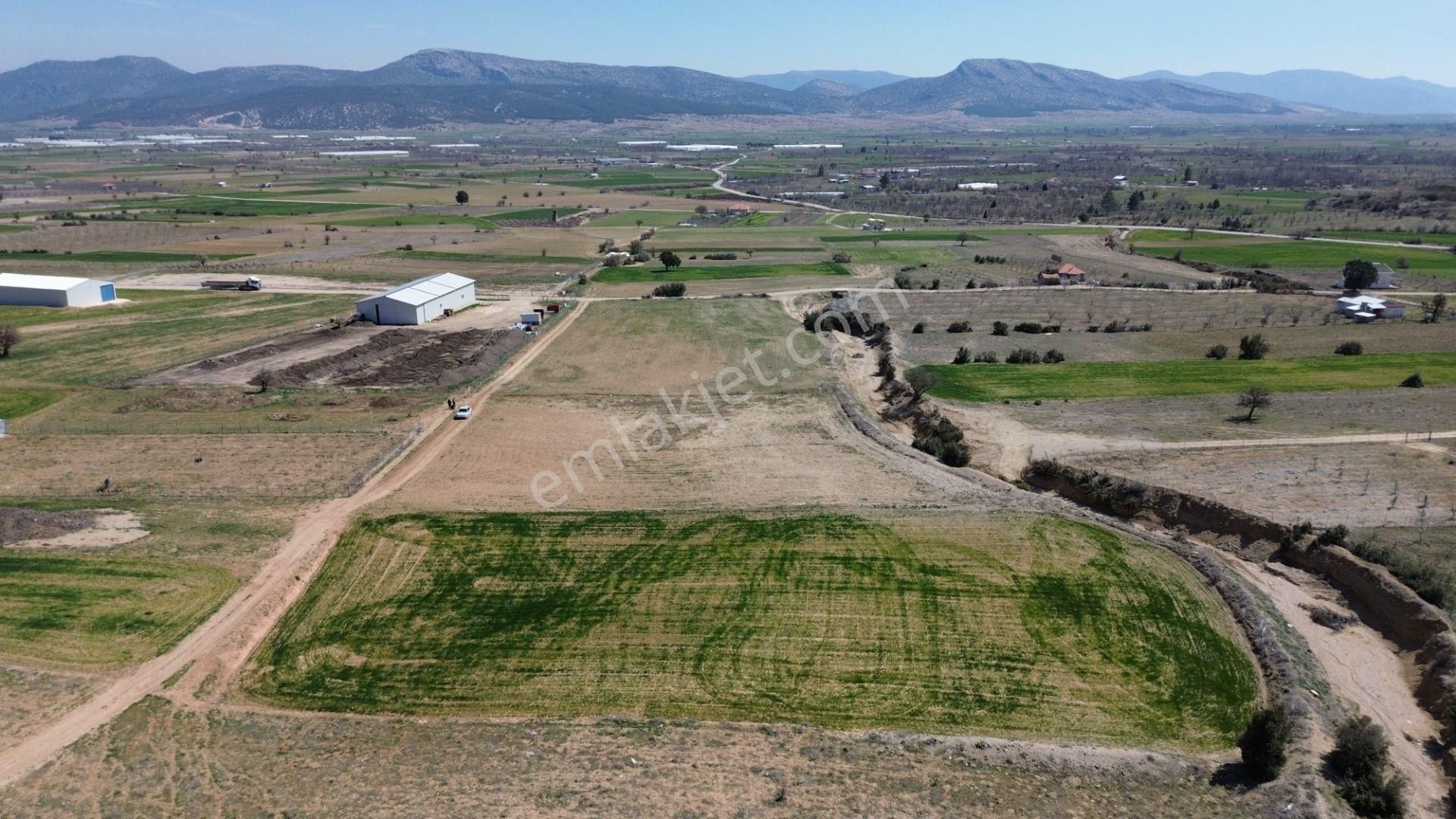 Korkuteli Yeşilyaylada Satılık 4266 M2 Problemi Olmayan Tarla - Görsel 9