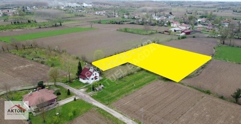 Sakarya Akyazı Seyfeller Mahallesinde 6580 M2