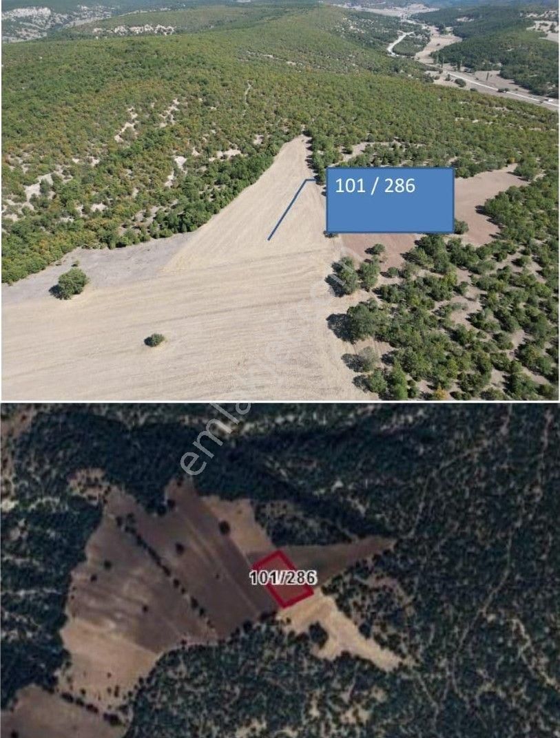 Kütahya Merkez Muhatboğazı Köyünde Satılık Tarlalar