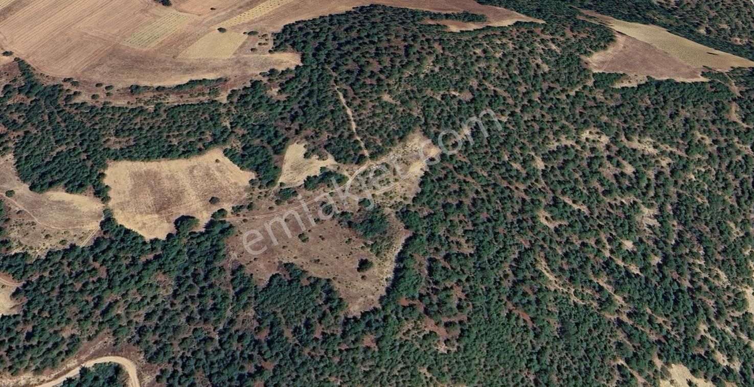 Geyve Günhoşlarda Satılık Arazi