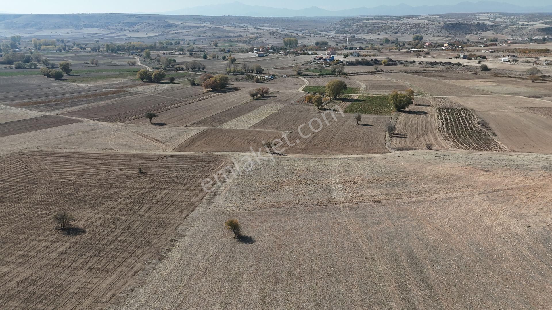 Konya / Meram / Güneydere Mahallesinde 3.750 M² Müstakil Tapulu Tarla
