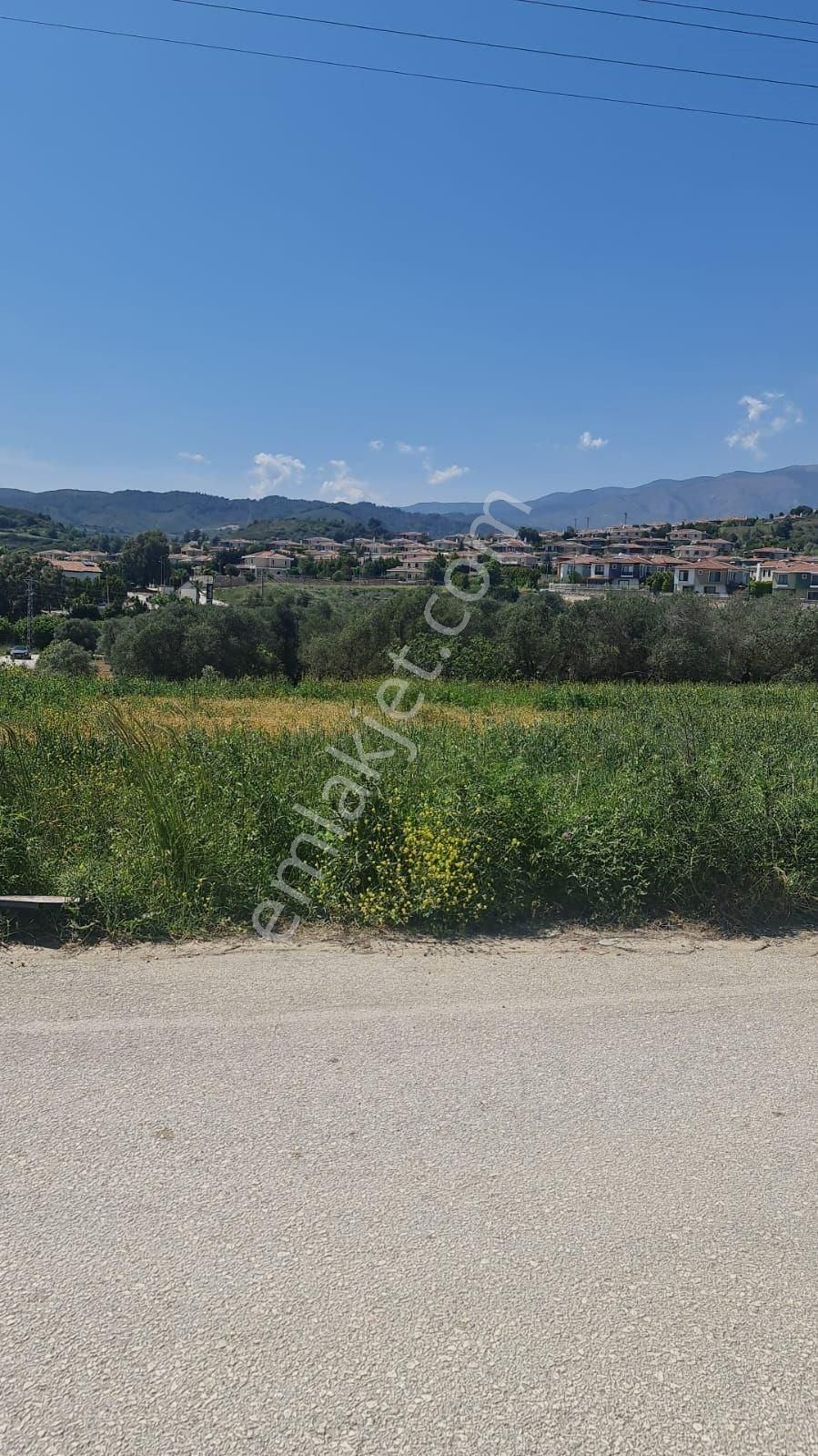 Park Evler Girişinde Emsalsiz Arsa