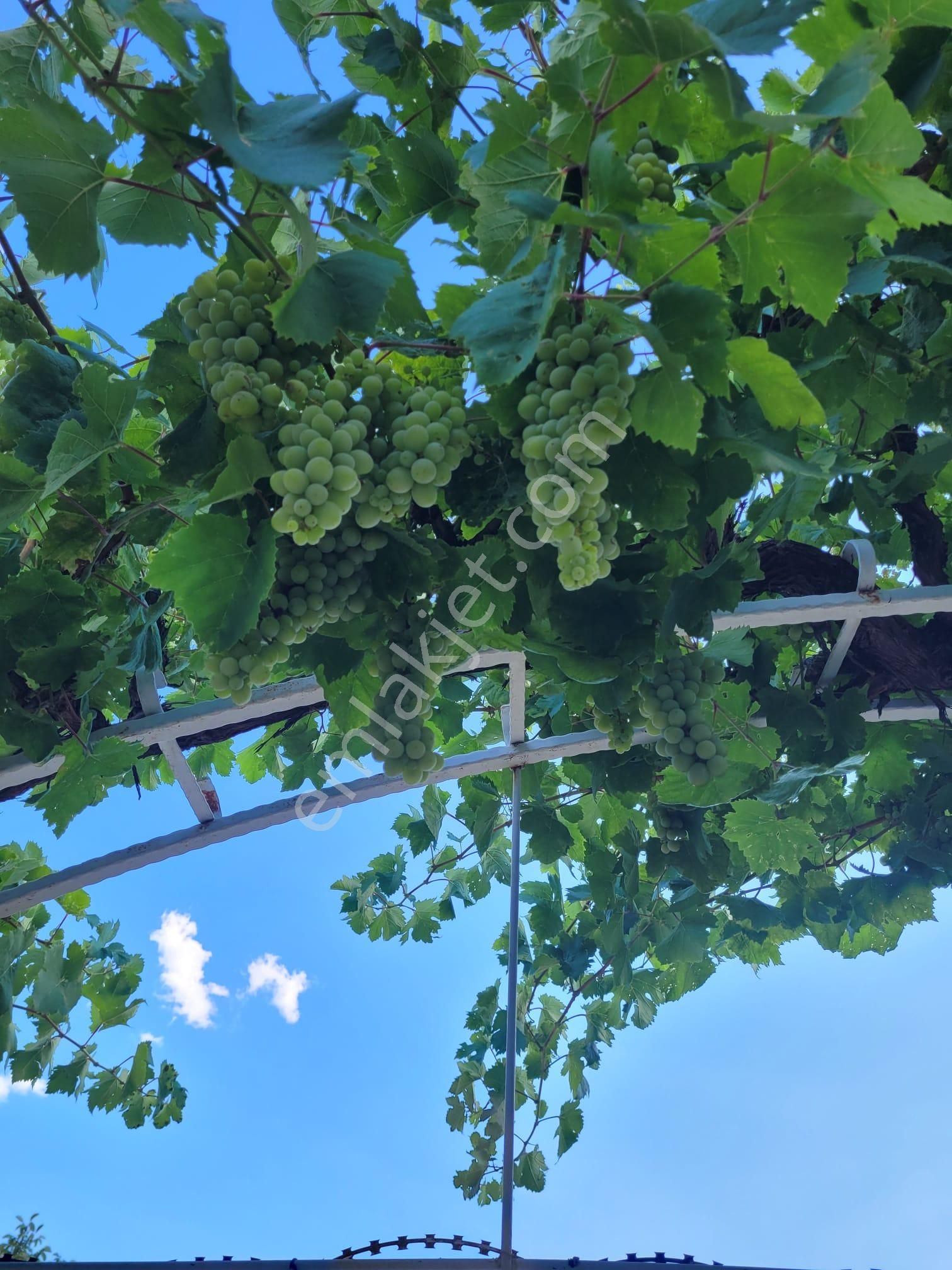 Pozantı Tek Tapu 2katlı Tapuları Elektrik Su Ayrı İskanlı Pelit Lokanta Arkası 750m2 Kat Mülkiyetli