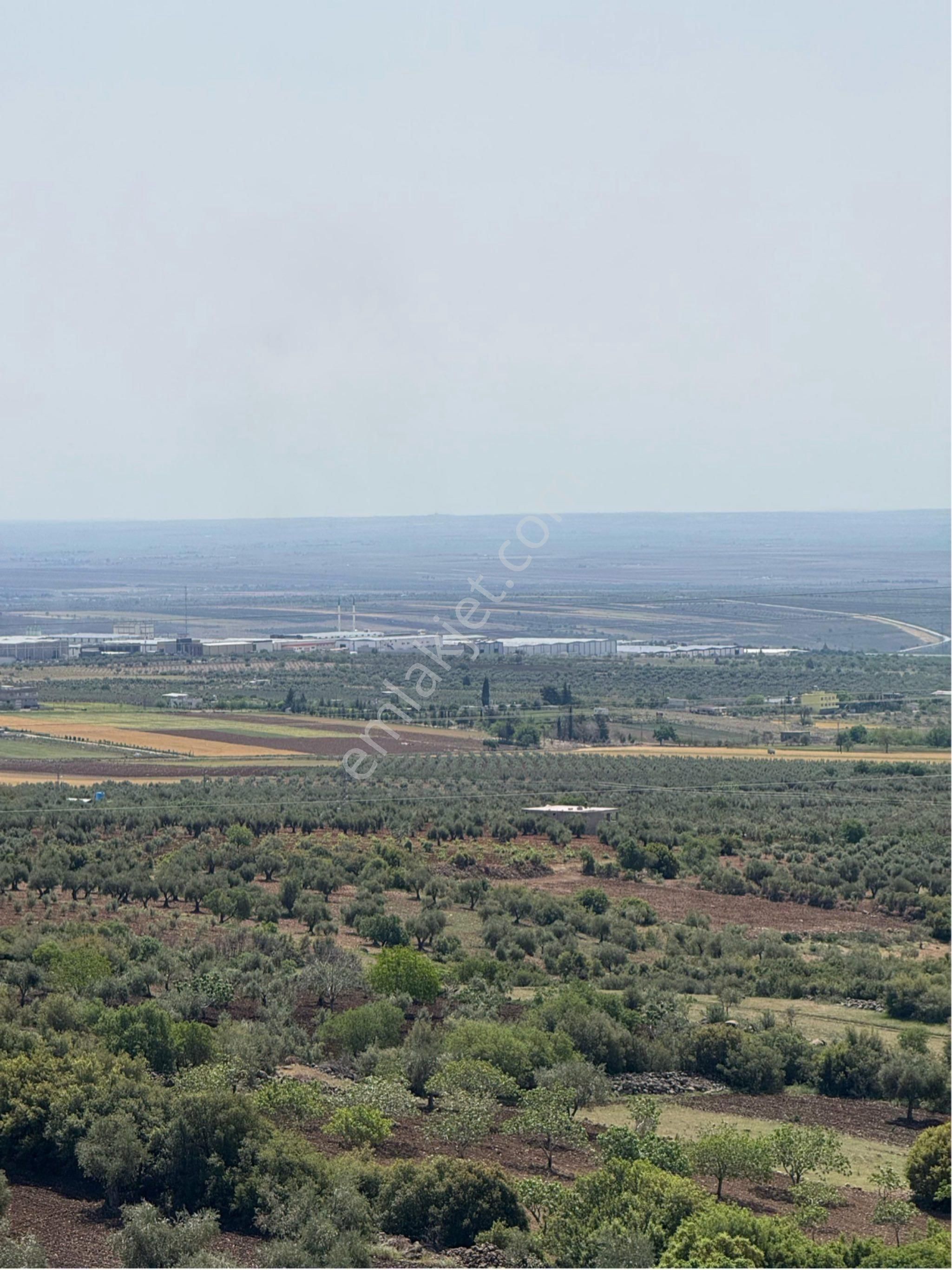 Beymahall Gyo Kilis Merkez Topdağı'nda Fırsat Yatırımlık Arazi