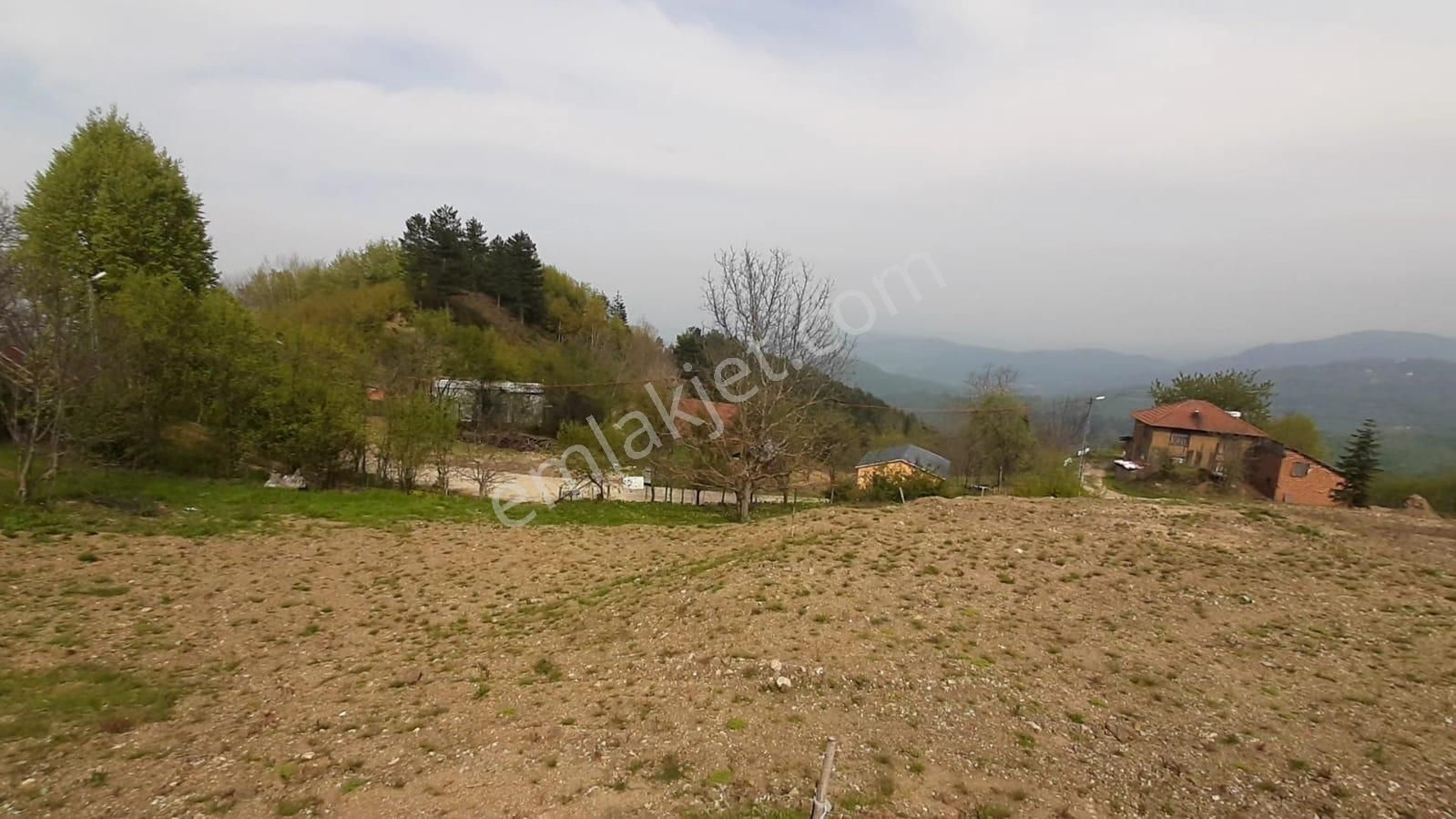 Tek İşim Gayrimenkul'den Tuzla Mahallesi'nde Yola Cephe, Manzaralı, İmarlı 754 M² Arsa!