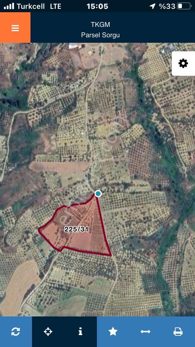 Şarköyde Işık Emlaktan İğdebağları Mah De 22700 M2 M2 Zeytinlik - Görsel 12