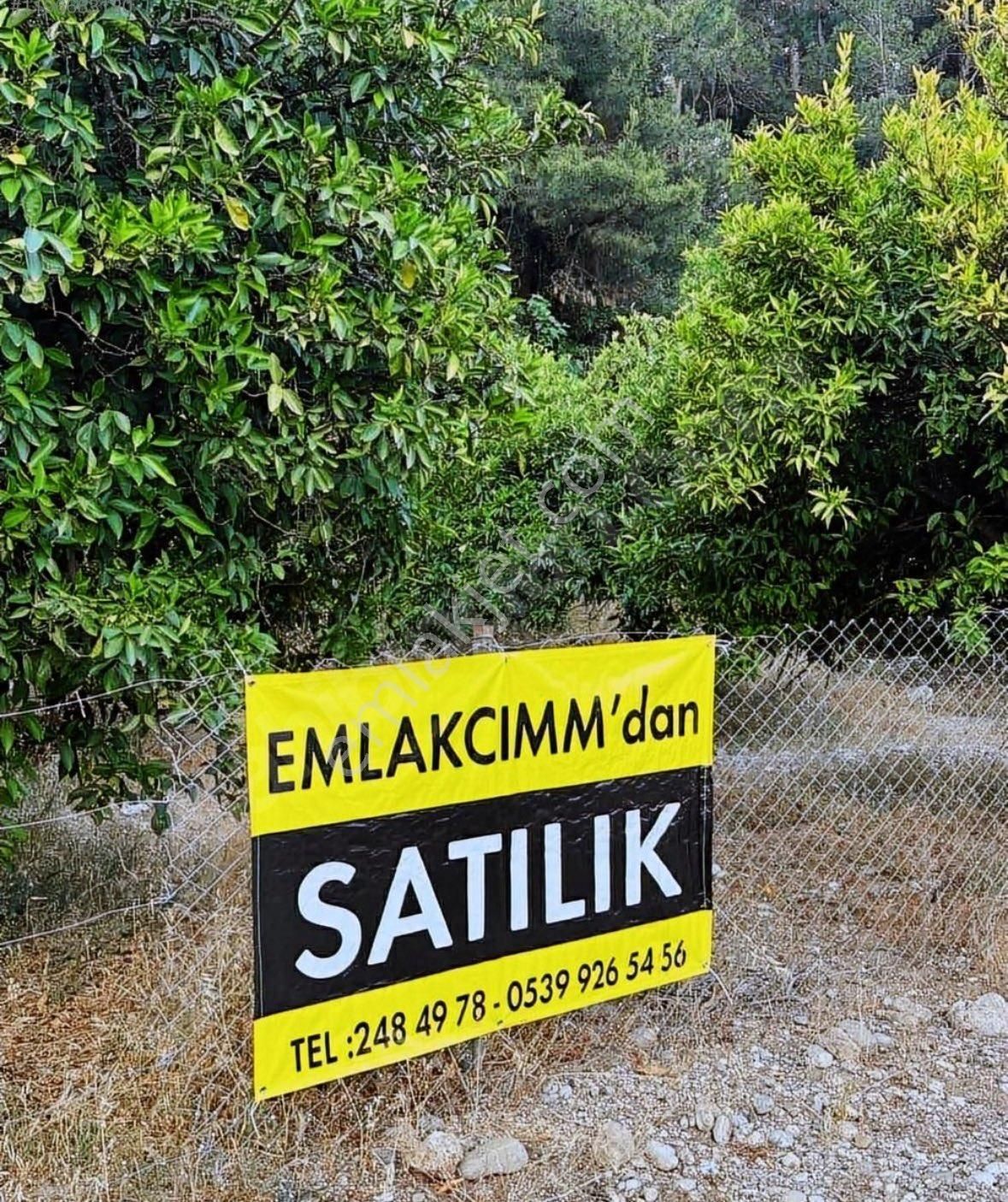 Konyaaltı Aşağıkaraman Da Satılık Portakal Bahçesi 170 M2