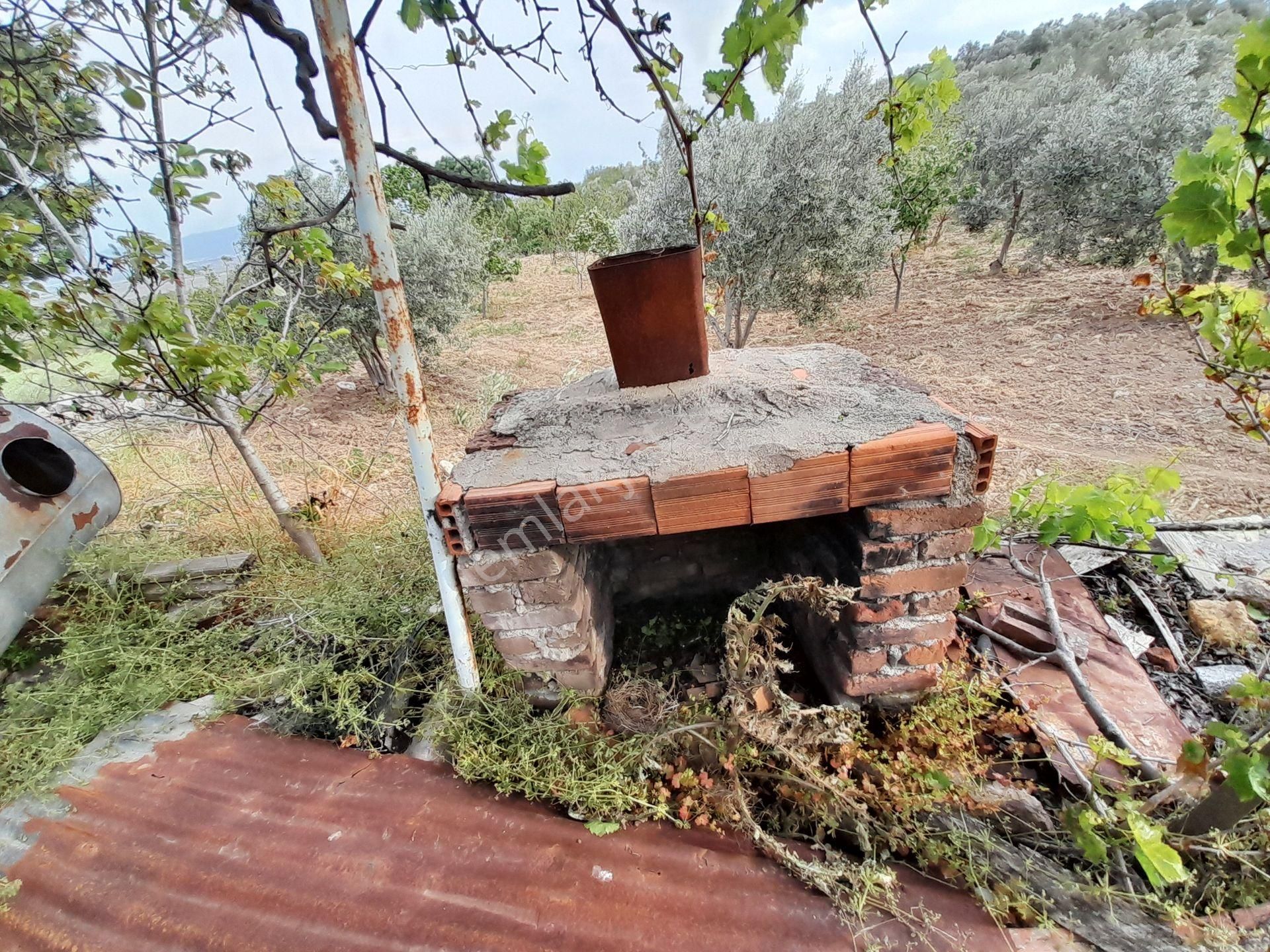 Bergama Kurtuluş Mah.toplam 16.582 M2 2/1 Hissesi 8.291 M2 Olan Zeytinlik Satılıktır - Görsel 30