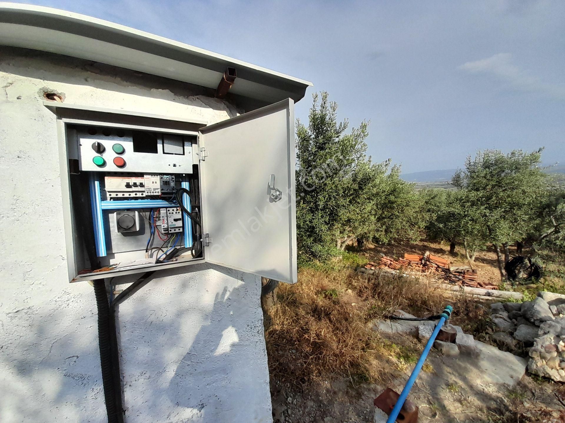 Bergama Kurtuluş Mah.toplam 16.582 M2 2/1 Hissesi 8.291 M2 Olan Zeytinlik Satılıktır - Görsel 18