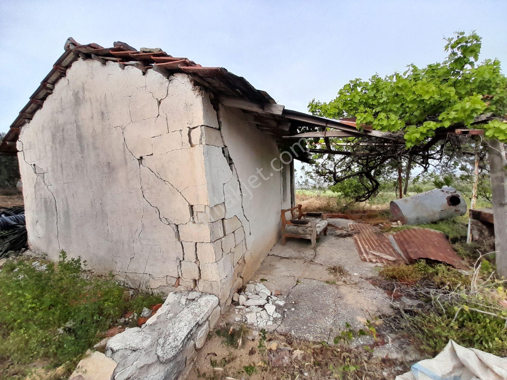 Bergama Kurtuluş Mah.toplam 16.582 M2 2/1 Hissesi 8.291 M2 Olan Zeytinlik Satılıktır - Görsel 7