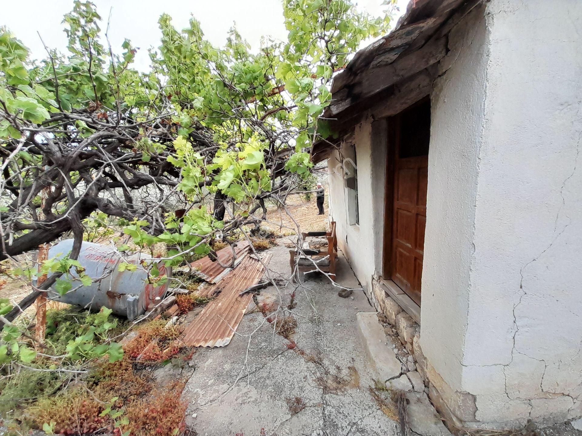 Bergama Kurtuluş Mah.toplam 16.582 M2 2/1 Hissesi 8.291 M2 Olan Zeytinlik Satılıktır - Görsel 29