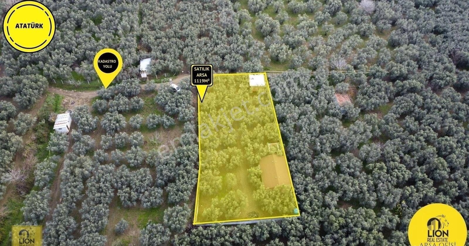 Atatürk Mahallesi Yerleşime Yakın 1119m² Zeytinlik İçerisinde 2 Adet Çiftlik Evimiz Satılıktır