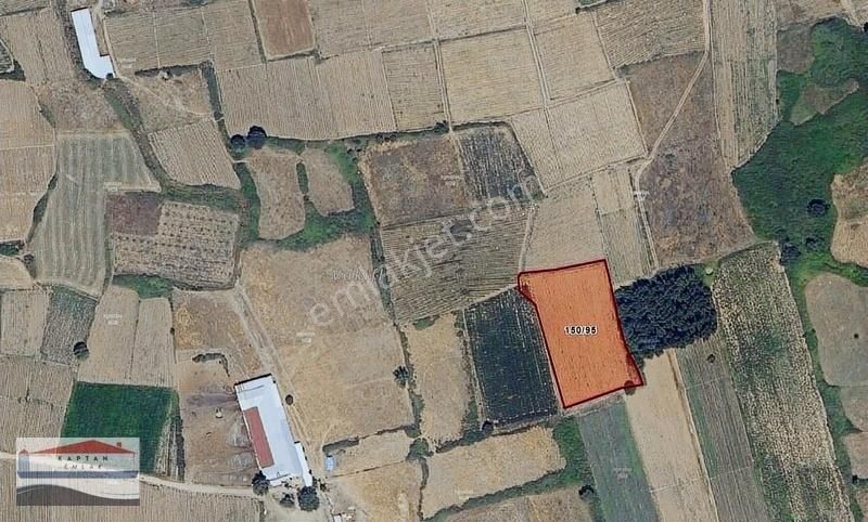 Çanakkale Yenice Hamdibey'de Köye Yakın Satılık 5167 M2 Tarla