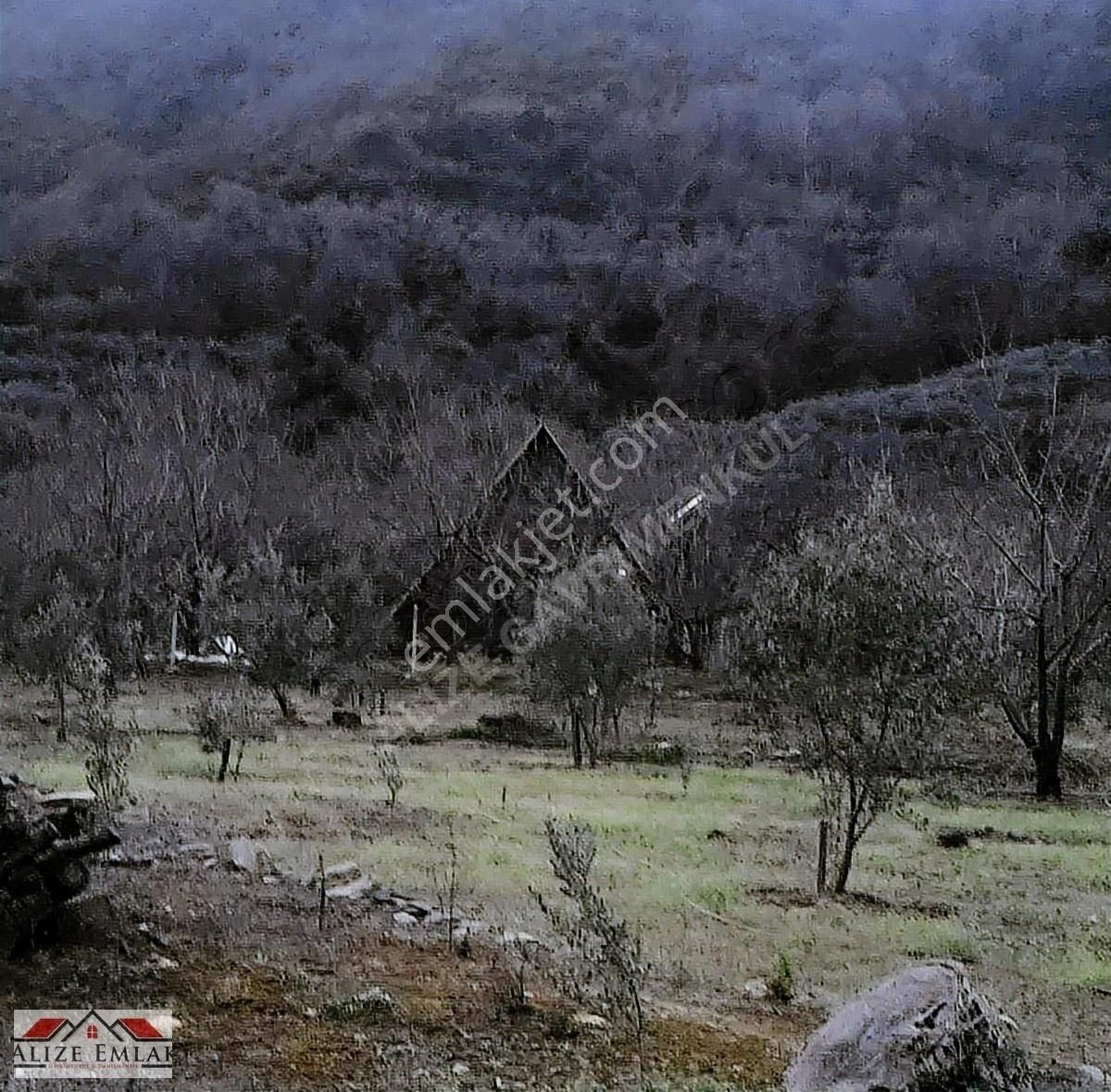 Acil Acil Acil Deniz Manzaralı Takasa 120 Zeytin Ağacı 3.900 M2 - Görsel 11