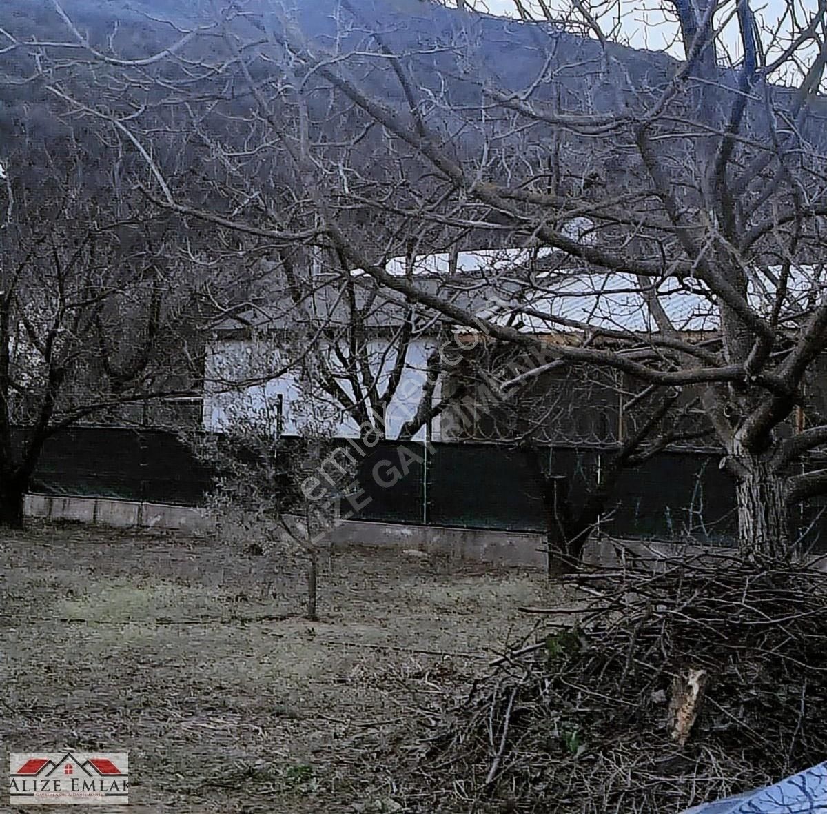 Acil Acil Acil Deniz Manzaralı Takasa 120 Zeytin Ağacı 3.900 M2 - Görsel 32