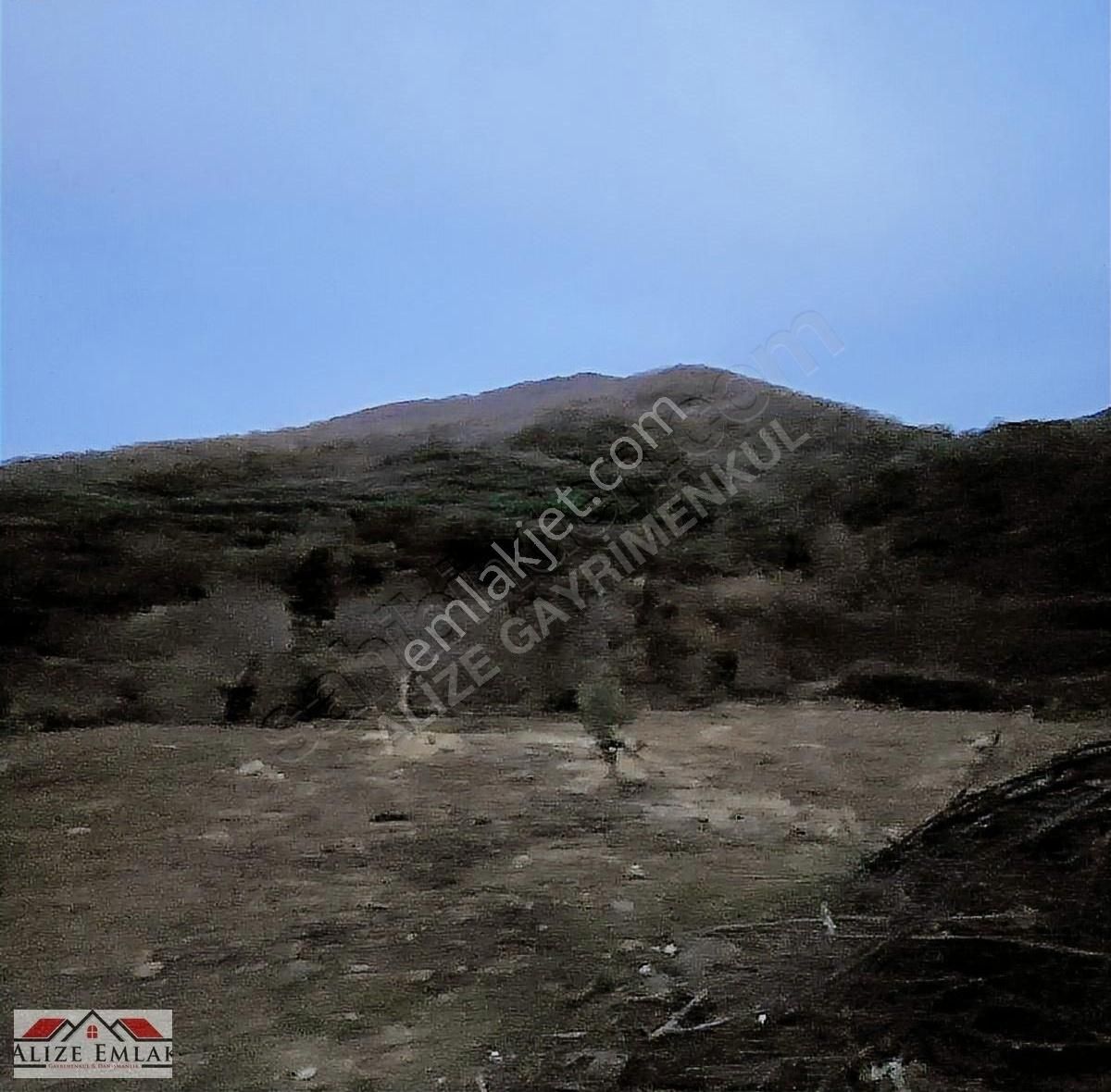 Acil Acil Acil Deniz Manzaralı Takasa 120 Zeytin Ağacı 3.900 M2 - Görsel 22