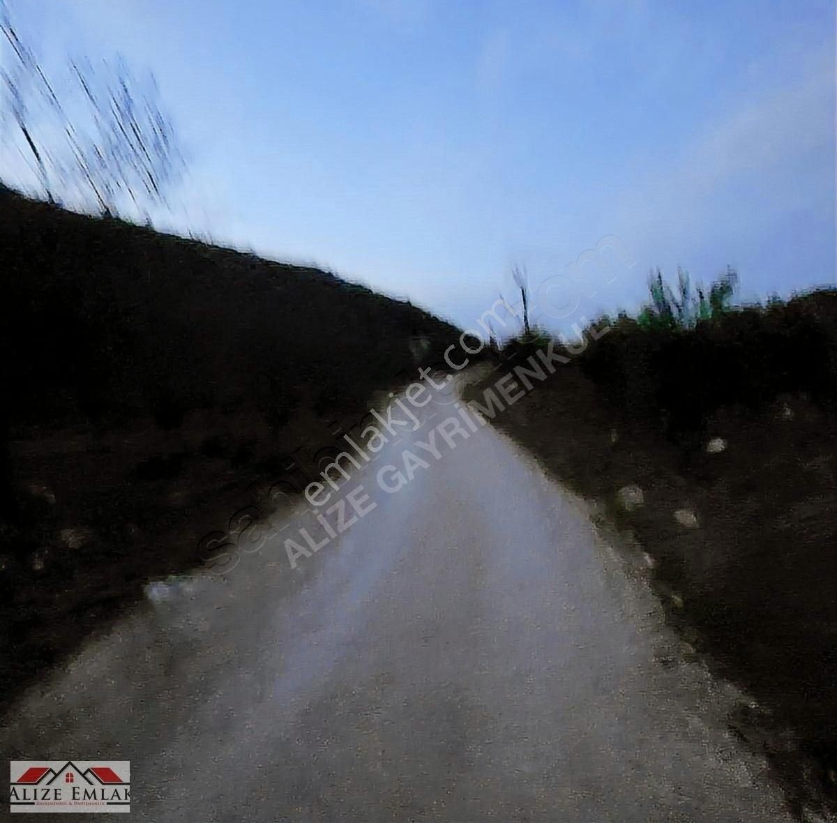 Acil Acil Acil Deniz Manzaralı Takasa 120 Zeytin Ağacı 3.900 M2 - Görsel 33