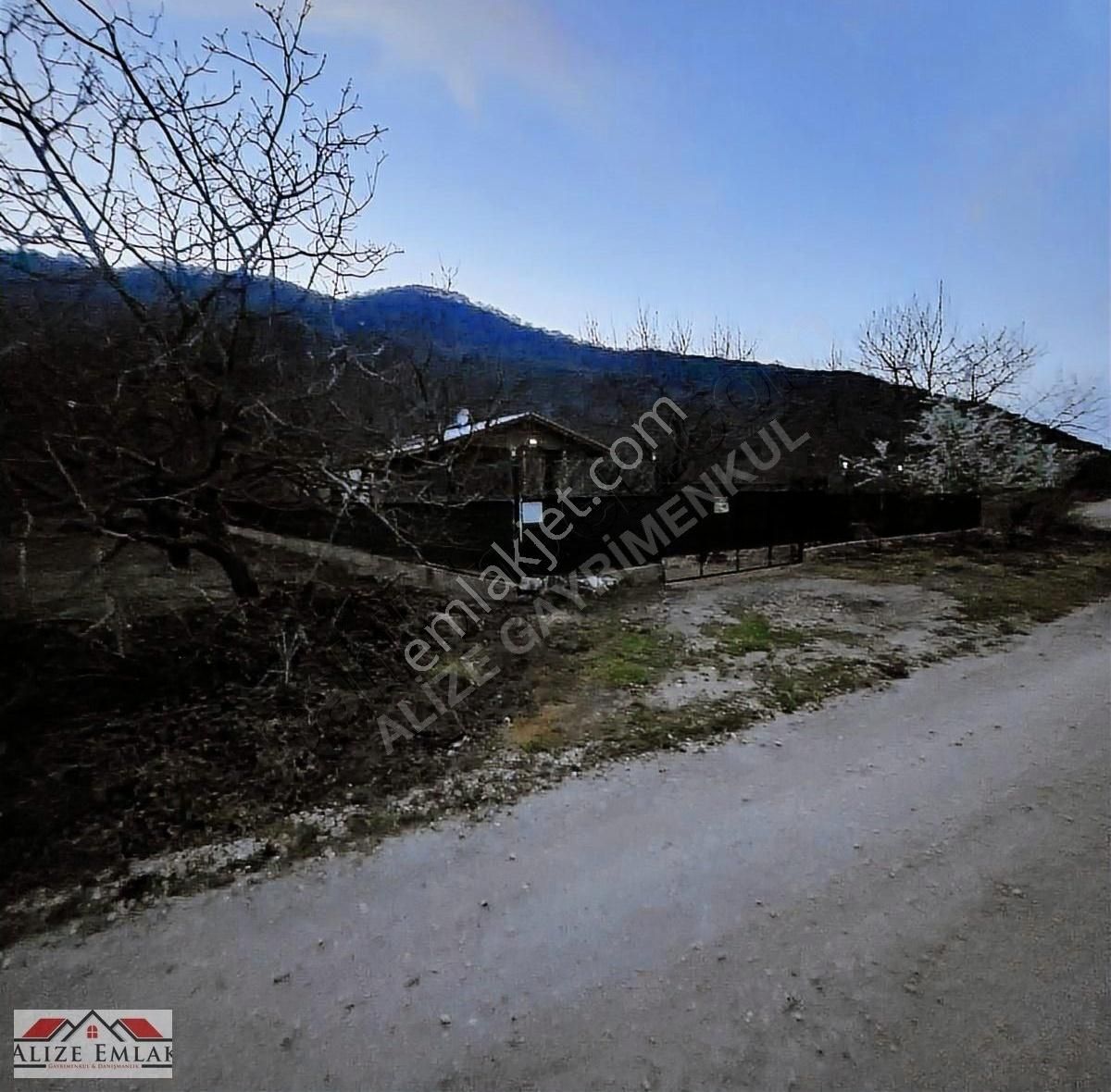 Acil Acil Acil Deniz Manzaralı Takasa 120 Zeytin Ağacı 3.900 M2 - Görsel 9