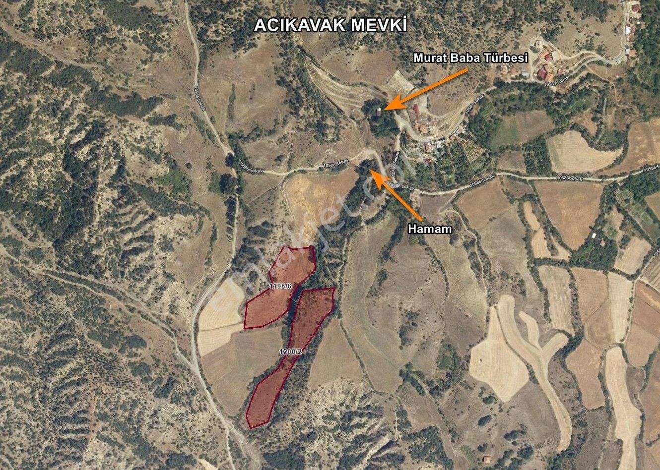 Kastamonu - Tosya Acıkavakta Satılık 20 Dönüm Tarla