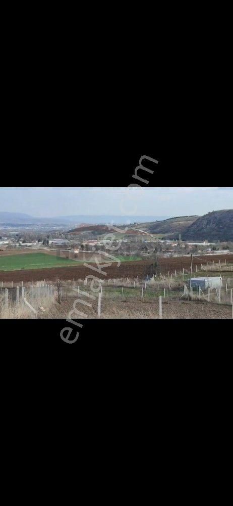 Güvenay - Çorum İskilip Yolu 12.km Satılık Bahçe