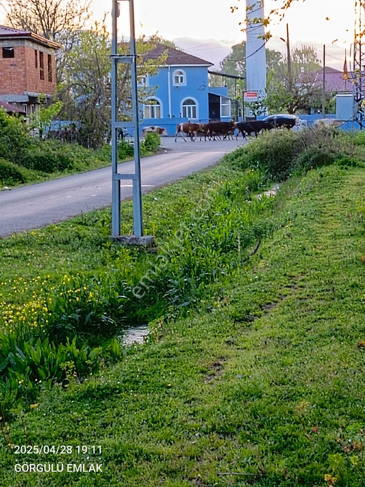 Acil Satılık Arazi Görgülü Emlaktan Turgutluda