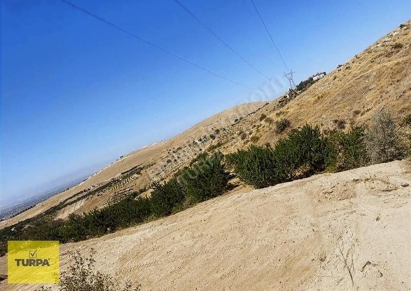 Malatya Manzaları Konak Ta Fırsat Bahçe!