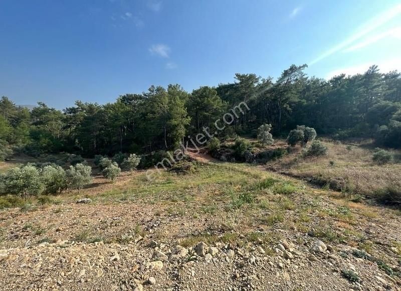 Muğla Dalaman Kayadibi'nde Satılık Hisseli Tarla