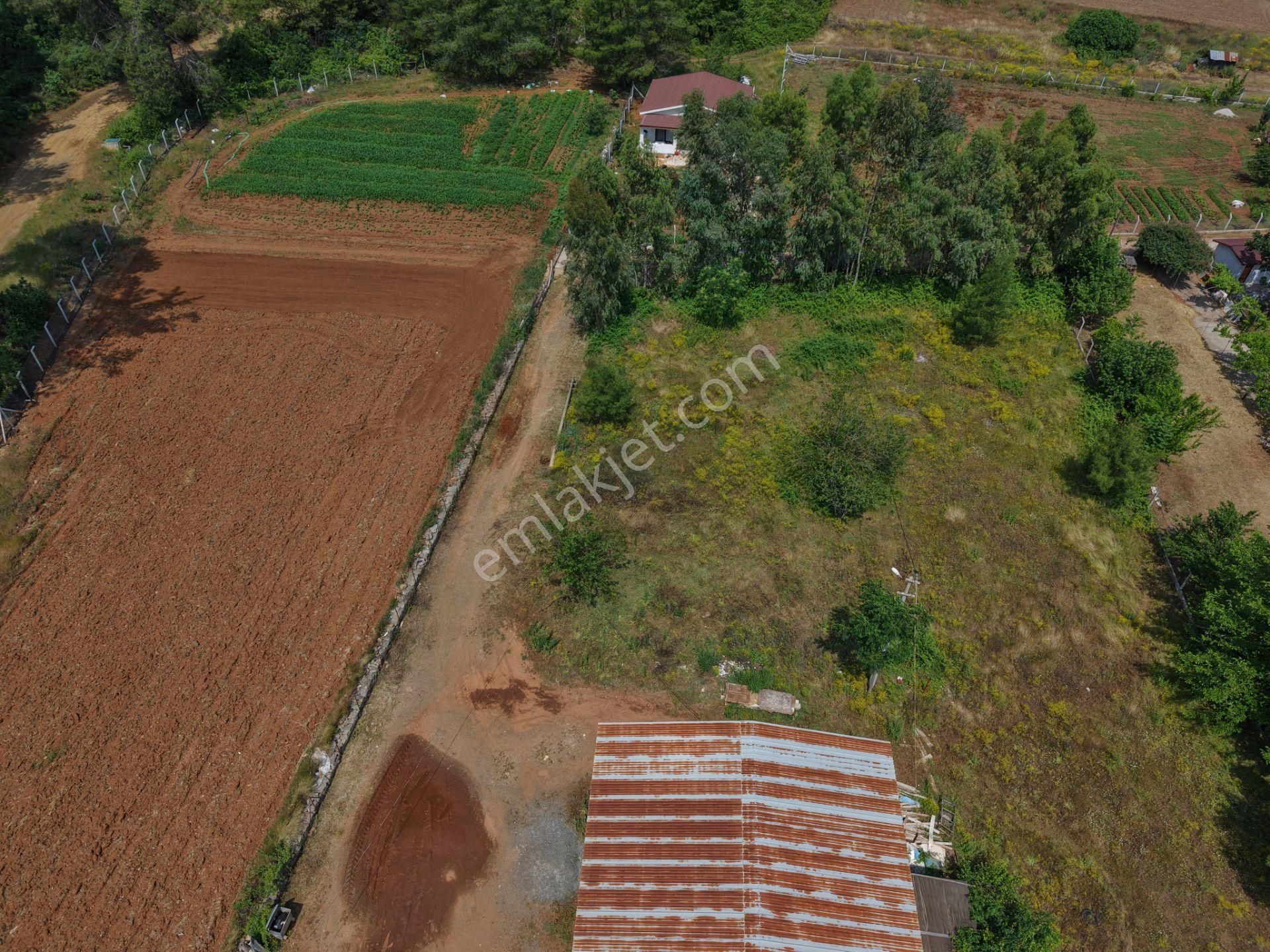 Muğla Kızılyaka 2000m2 İmarlı Arsa - Görsel 8