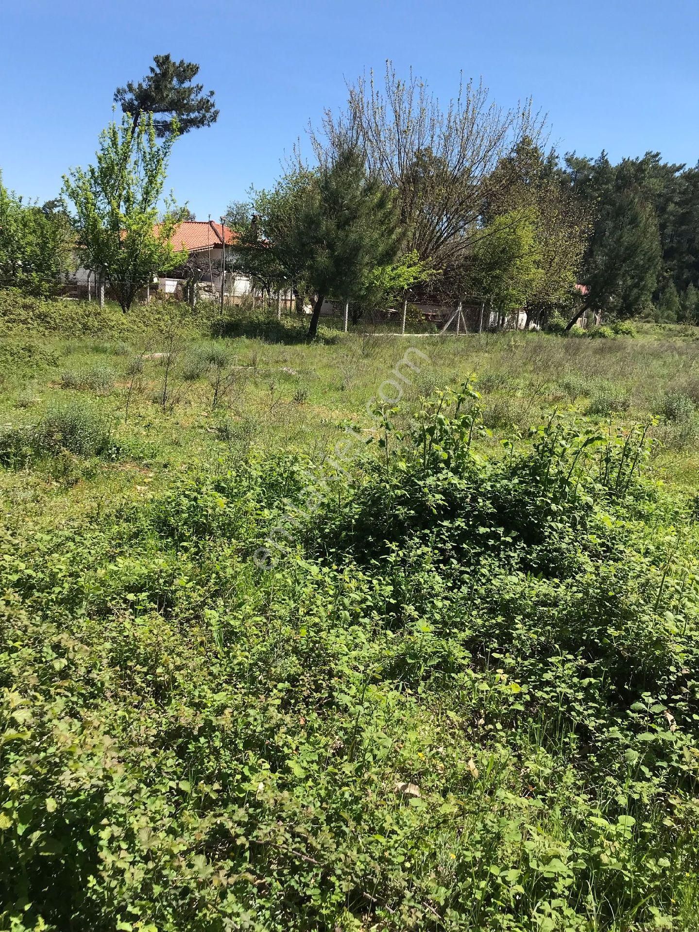 Muğla Kızılyaka 2000m2 İmarlı Arsa - Görsel 3