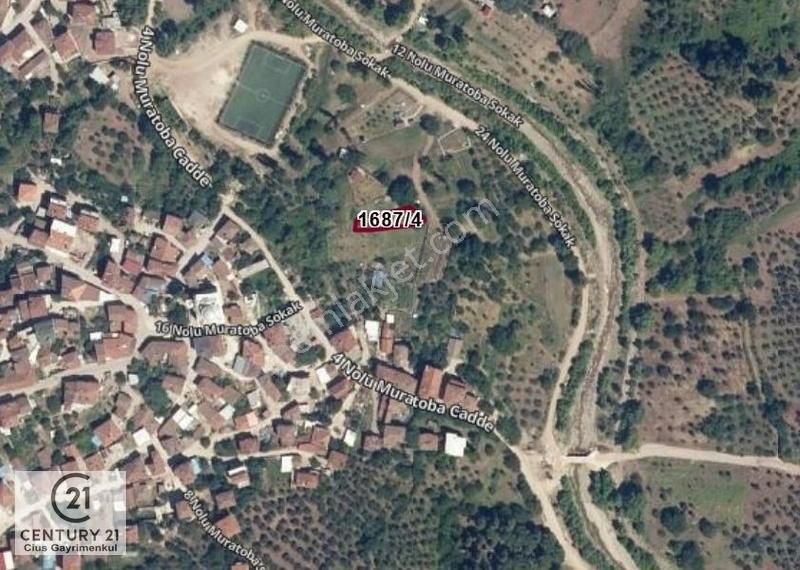 C21 Cius; Muratoba'da 384 M2 Köy İçi İmarlı