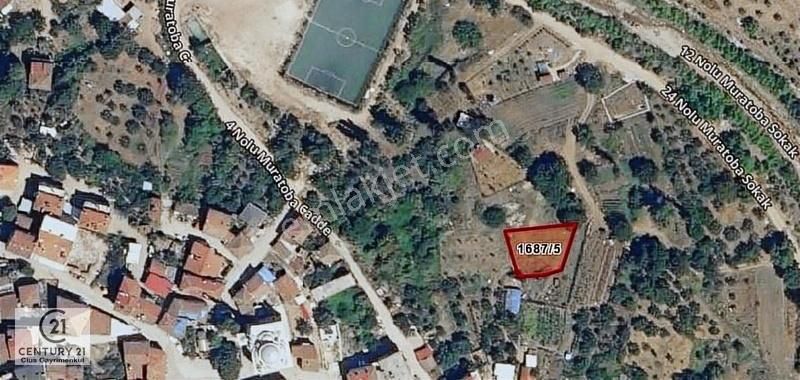 C21cius; Muratoba Köyünde İmarlı 511 M2